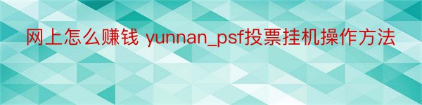 网上怎么赚钱 yunnan_psf投票挂机操作方法